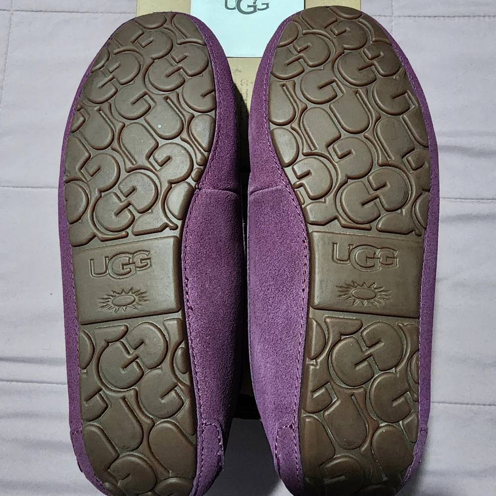 Women's UGG AnsleyWater Resistant Slipper In Limited Edition Purple - Picture 5 of 6